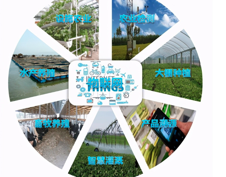 1739328465936154.png 截屏2025-02-12 10.47.32.png